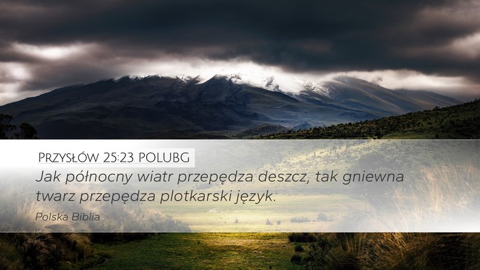 Przysłów 25:23 POLUBG Bible Verse Image