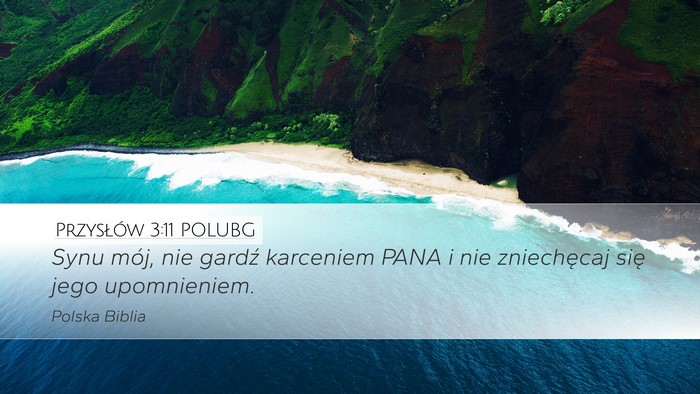 Przysłów 3:11 POLUBG Bible Verse Image