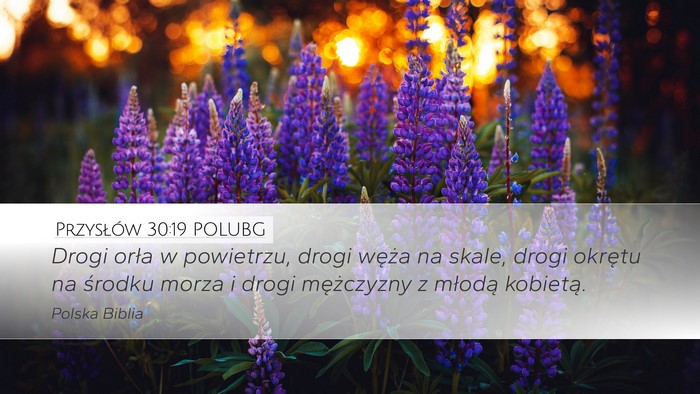 Przysłów 30:19 POLUBG Desktop Wallpaper - Drogi orła w powietrzu, drogi węża na skale, - Desktop Bible Verse Wallpaper