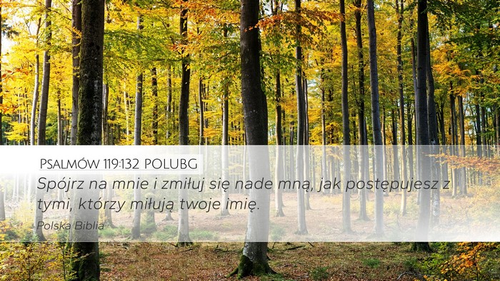 Psalmów 119:132 POLUBG Bible Verse Image