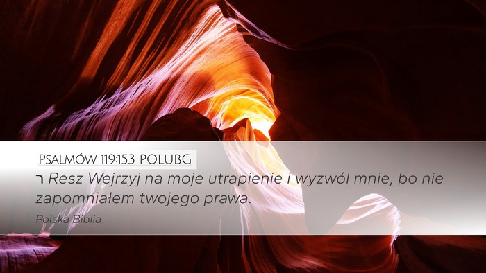 Psalmów 119:153 POLUBG Bible Verse Image