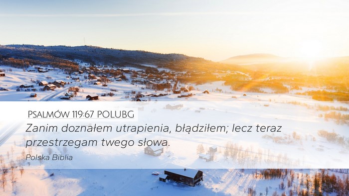 Psalmów 119:67 POLUBG Bible Verse Image