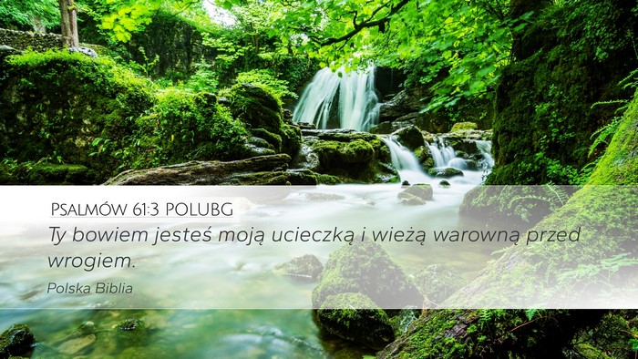 Psalmów 61:3 POLUBG Bible Verse Image