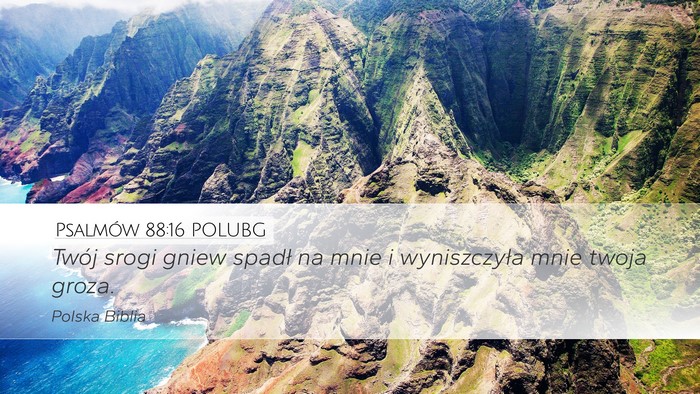 Psalmów 88:16 POLUBG Bible Verse Image