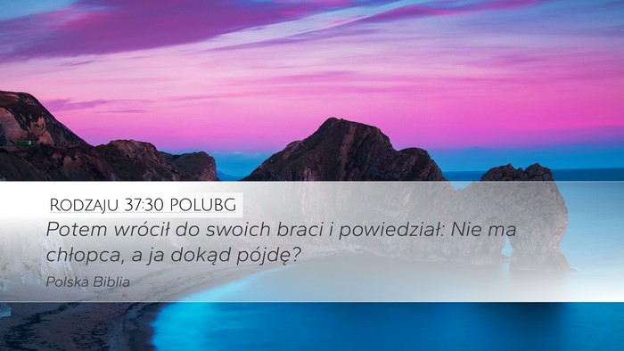 Rodzaju 37:30 POLUBG Bible Verse Image