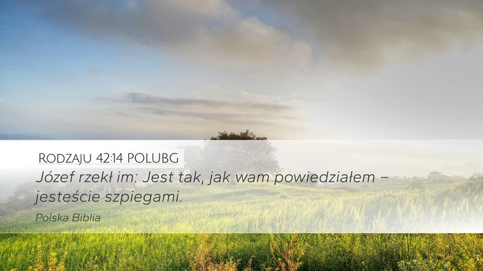 Rodzaju 42:14 POLUBG Desktop Wallpaper - Józef rzekł im: Jest tak, jak wam powiedziałem - Desktop Bible Verse Wallpaper