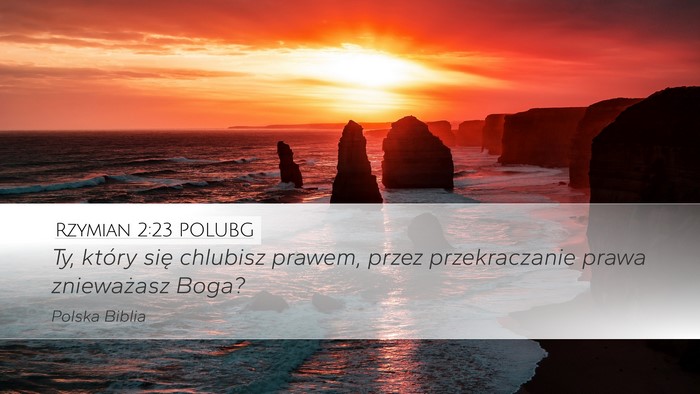 Rzymian 2:23 POLUBG Bible Verse Image