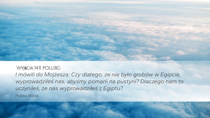 Wyjścia 14:11 POLUBG Bible Verse Image