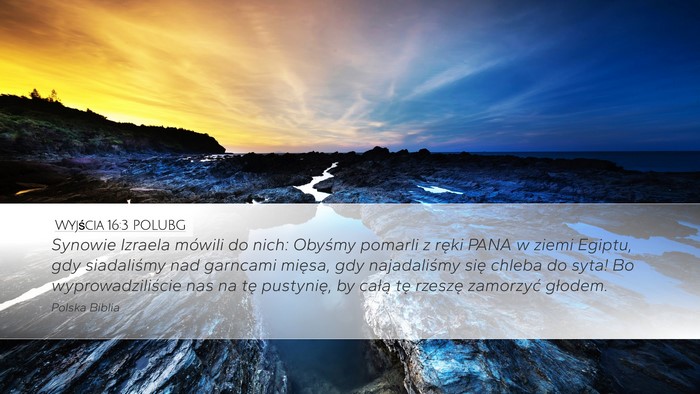 Wyjścia 16:3 POLUBG Bible Verse Image