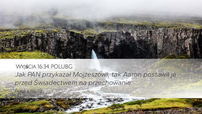 Wyjścia 16:34 POLUBG Bible Verse Image
