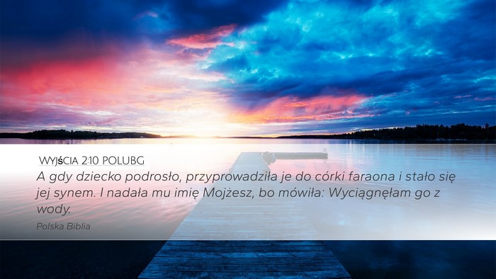 Wyjścia 2:10 POLUBG Bible Verse Image