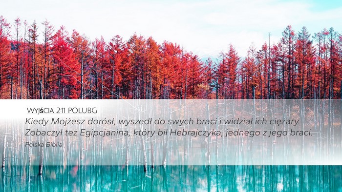 Wyjścia 2:11 POLUBG Bible Verse Image