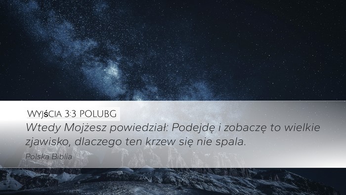 Wyjścia 3:3 POLUBG Desktop Wallpaper - Wtedy Mojżesz powiedział: Podejdę i zobaczę - Desktop Bible Verse Wallpaper