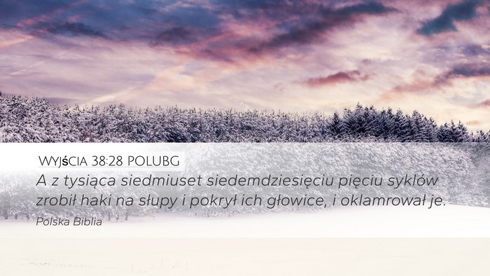 Wyjścia 38:28 POLUBG Bible Verse Image