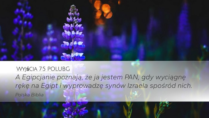 Wyjścia 7:5 POLUBG Bible Verse Image