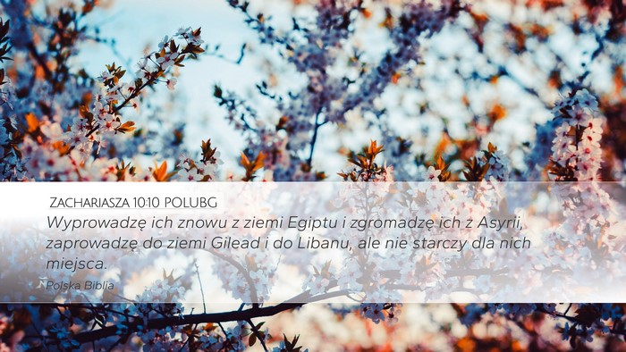 Zachariasza 10:10 POLUBG Bible Verse Image