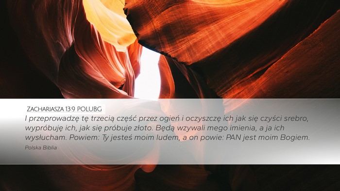 Zachariasza 13:9 POLUBG Bible Verse Image