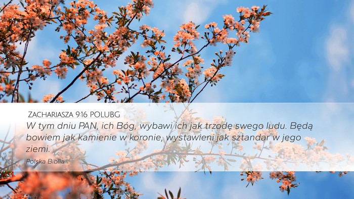 Zachariasza 9:16 POLUBG Bible Verse Image