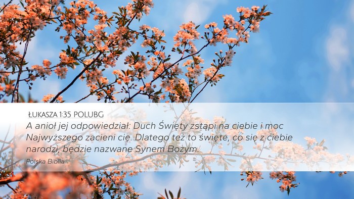 Łukasza 1:35 POLUBG Bible Verse Image