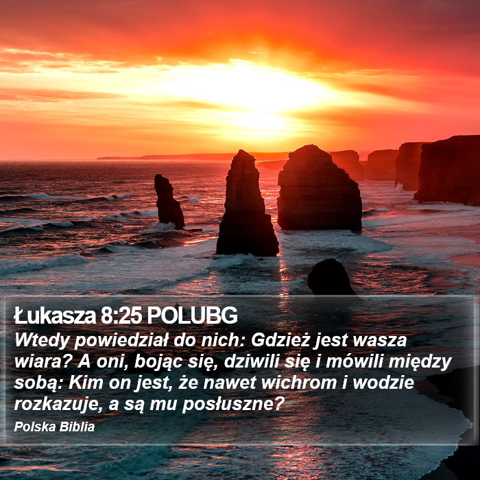 Łukasza 8:25 POLUBG - Wtedy powiedział do nich: Gdzież jest wasza