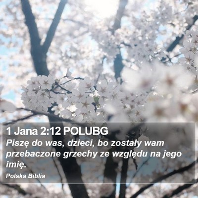 1 Jana 2:12 POLUBG Bible Verse Image