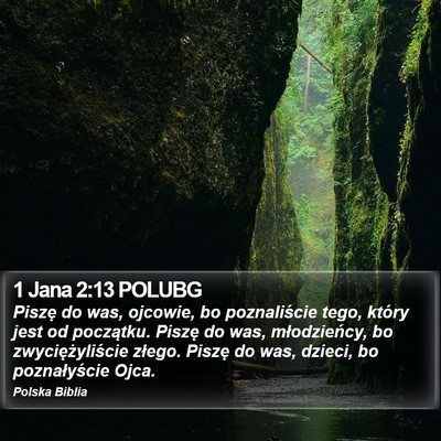 1 Jana 2:13 POLUBG Bible Verse Image