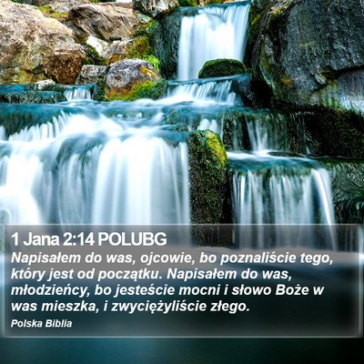 1 Jana 2:14 POLUBG Bible Verse Image