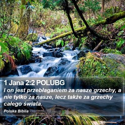 1 Jana 2:2 POLUBG Bible Verse Image