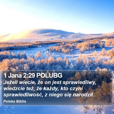 1 Jana 2:29 POLUBG Bible Verse Image
