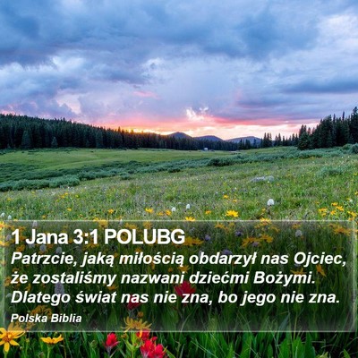 1 Jana 3:1 POLUBG Bible Verse Image