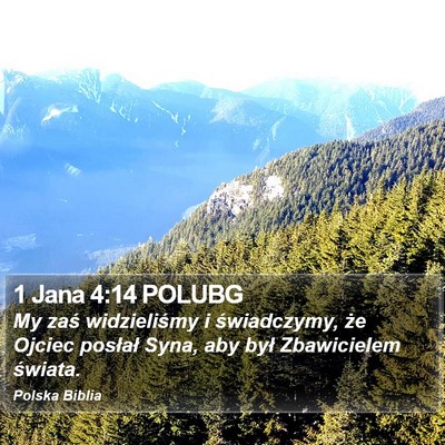 1 Jana 4:14 POLUBG Bible Verse Image