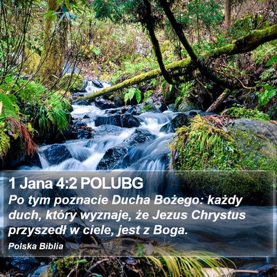 1 Jana 4:2 POLUBG Bible Verse Image