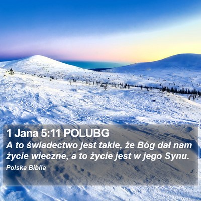 1 Jana 5:11 POLUBG Bible Verse Image