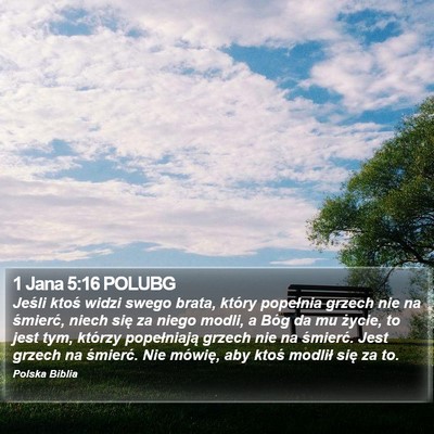 1 Jana 5:16 POLUBG Bible Verse Image
