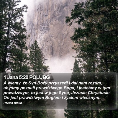 1 Jana 5:20 POLUBG Bible Verse Image