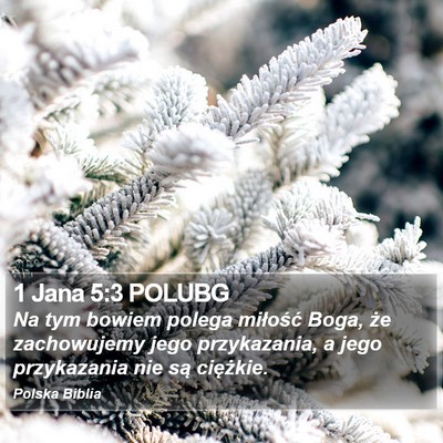 1 Jana 5:3 POLUBG Bible Verse Image