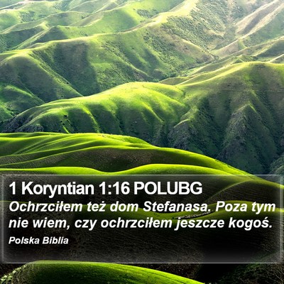 1 Koryntian 1:16 POLUBG Bible Verse Image