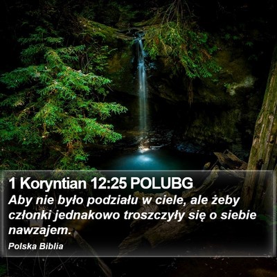 1 Koryntian 12:25 POLUBG Bible Verse Image