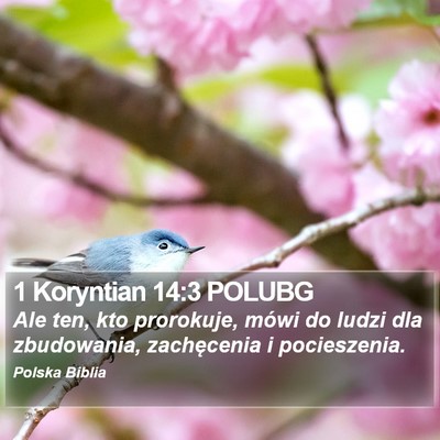 1 Koryntian 14:3 POLUBG Bible Verse Image