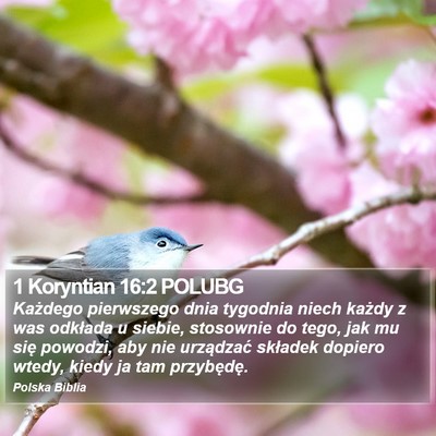 1 Koryntian 16:2 POLUBG Bible Verse Image