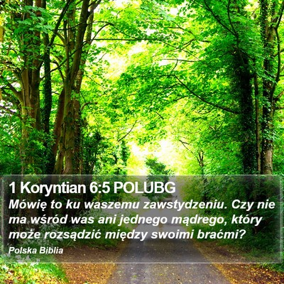 1 Koryntian 6:5 POLUBG Bible Verse Image