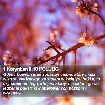 1 Koryntian 8:10 POLUBG Bible Verse Image