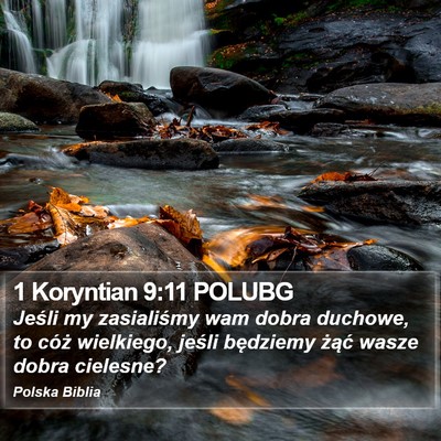 1 Koryntian 9:11 POLUBG Bible Verse Image
