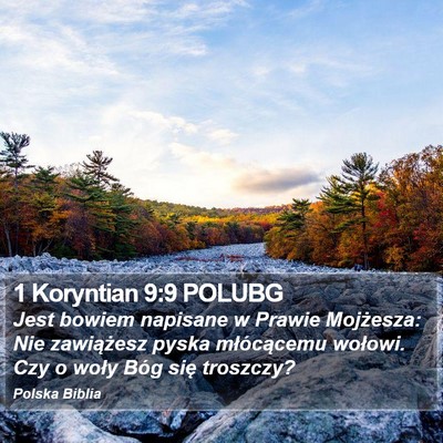 1 Koryntian 9:9 POLUBG Bible Verse Image