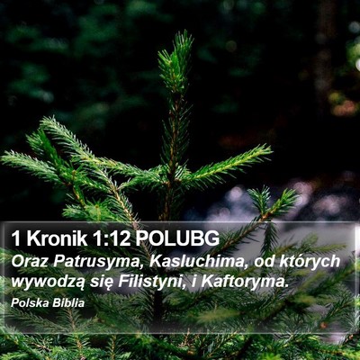 1 Kronik 1:12 POLUBG Bible Verse Image