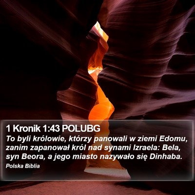 1 Kronik 1:43 POLUBG Bible Verse Image