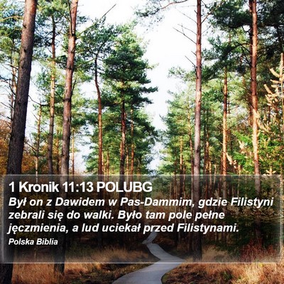 1 Kronik 11:13 POLUBG Bible Verse Image