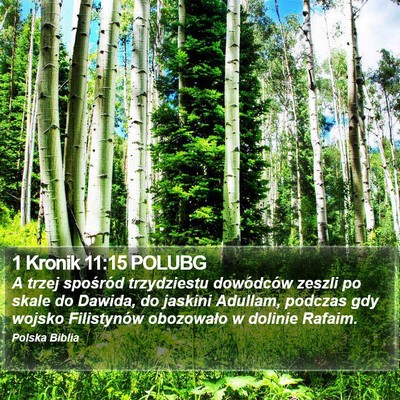1 Kronik 11:15 POLUBG Bible Verse Image