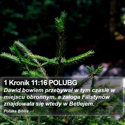 1 Kronik 11:16 POLUBG Bible Verse Image