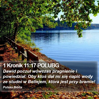 1 Kronik 11:17 POLUBG Bible Verse Image